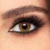 Buy Freshlook Pure Hazel Contact Lenses - One-Day - lenspk.com