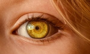 Do Eyeballs Change Shape with Age: Eye Myth Exposed