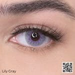 LILY GRAY